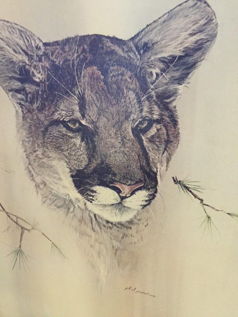 Phil Prentice, a large coloured print of a lion cub, signed in print and mounted on hessian board - Image 2 of 3