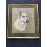 Majorie Cox, pastel study of an alsation titled Crestes, signed & dated 1969, mounted & framed. (