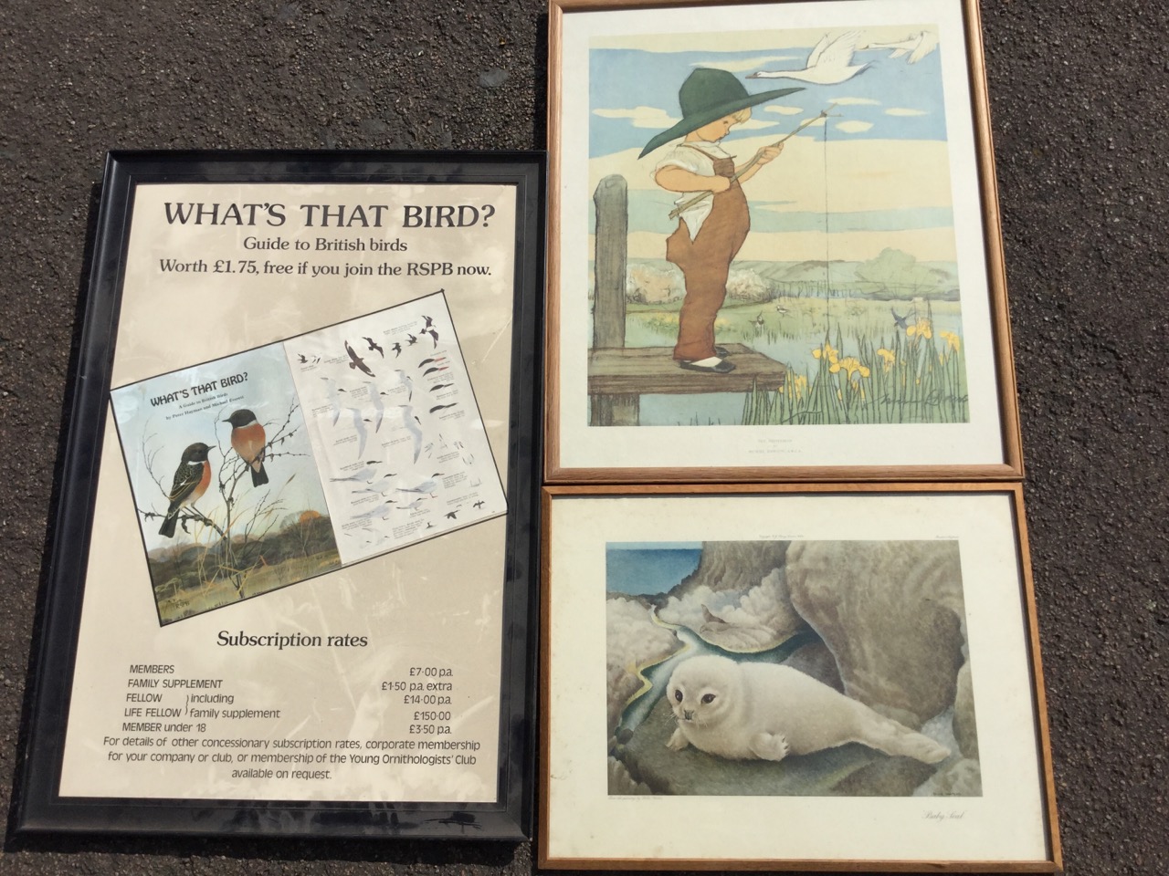 Muriel Dawson, The Fisherman, a 50s coloured print in oak frame; a framed 1970s RSPB poster; and a