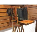 A Victorian mahogany Thornton Pickard camera having brass mounts and concertina light box,