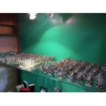 A collection of handpainted metal toy soldiers including 153 mounted cavalry models, and 297 foot