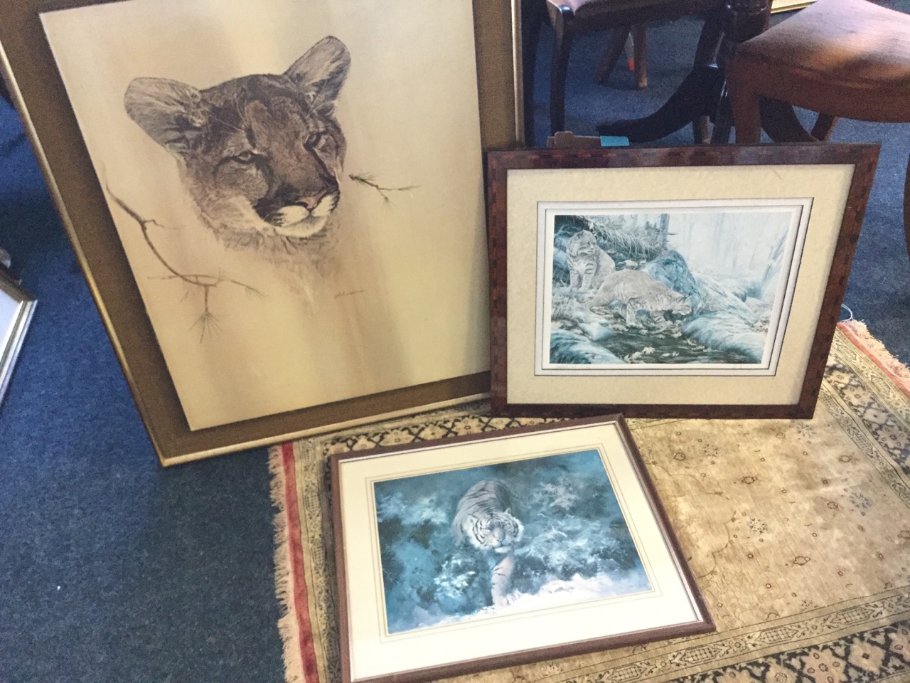 Phil Prentice, a large coloured print of a lion cub, signed in print and mounted on hessian board