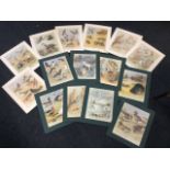 Fifteen mounted Thorburn prints, the coloured plates with various bird combinations - hawks, grouse,