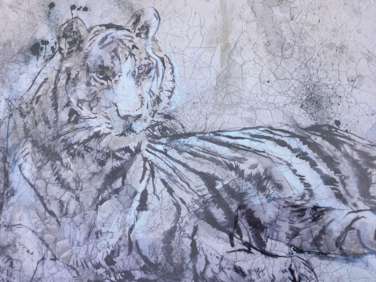 A large contemporary lithographic print of a tiger on crackle glaze ground, mounted & gilt - Image 2 of 3