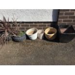 Six miscellaneous glazed plant pots. (6)