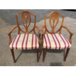 A pair of Hepplewhite style elbow chairs, the shield shaped backs with carved draped urn pierced