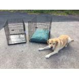 Two Ellie Bo dog crates, with inner trays, one cage with new cushion pad. (36in & 29in) (2)