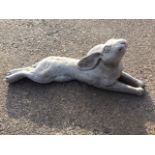 A composition stone hare, the resting beast gazing at the stars. (25.5in)