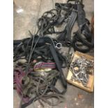 Miscellaneous horse tack including a collection of ten bits, a lunging whip, harness, girths,