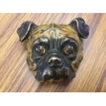 A cold painted bronze stampbox, cast as a pug doghead with hinged lid - Geschützt mark. (2.5in)