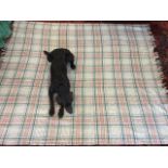 A large 1950s Otterburn wool rug woven in a tartan design of green and red lines on grey ground. (