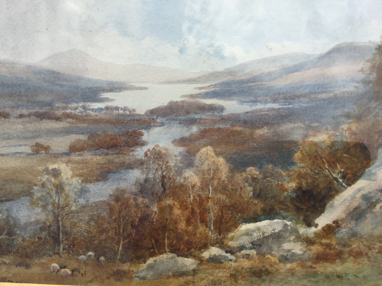 Edward Arden, watercolour, water landscape with sheep in foreground, signed, mounted and in gilt &