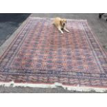 An oriental style carpet woven with field of oval medallions on pink grid field, framed by