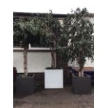 Three artificial lemon trees in square pots. (10ft approx) (3)