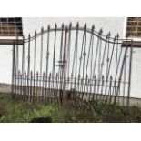 A pair of arched wrought iron driveway gates with fleur-de-lils finials to square vertical bars with