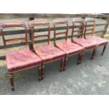 A set of five Victorian mahogany dining chairs with acanthus scroll carved back rails above