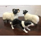 A Beswick style ram & ewe; and a Sylvac ceramic black & white sheepdog. (3)