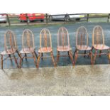 A set of six elm windsor style dining chairs, the hooped backs on spindles framing pierced splats,