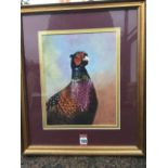 Michael Jevon, oil on board, study of a cock pheasant, signed & dated, mounted and framed. (8.75in x