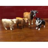 A Beswick jersey bull - Dunsley Cowboy; two Beswick calves - tan and honey coloured; and a Beswick