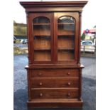 A nineteenth century mahogany bookcase cabinet with cushion moulded cornice above arched glazed