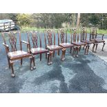 A set of seven Chippendale style mahogany dining chairs with two carvers, having acanthus carved