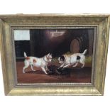 Attributed to Edward Armfield (1817-1896) oil on board - terriers at a rat in a trap, indistinctly