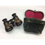 Pair of 19th century opera glasses, cased