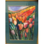 Keli Pukallus (Contemporary) watercolour tulip field, signed and dated 2000, glazed frame