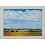 David Britton , contemporary, oil on board - Lincolnshire Landscape, signed, framed, 70cm x 100cm