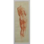 Francis Plummer (1930-2019) sanguine on paper - a nude, 50cm x 17cm,