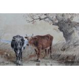 Thomas Smythe watercolour cattle