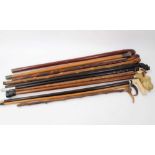 Group group of antique walking sticks including ivory handled stick, carved Japanese stick and other