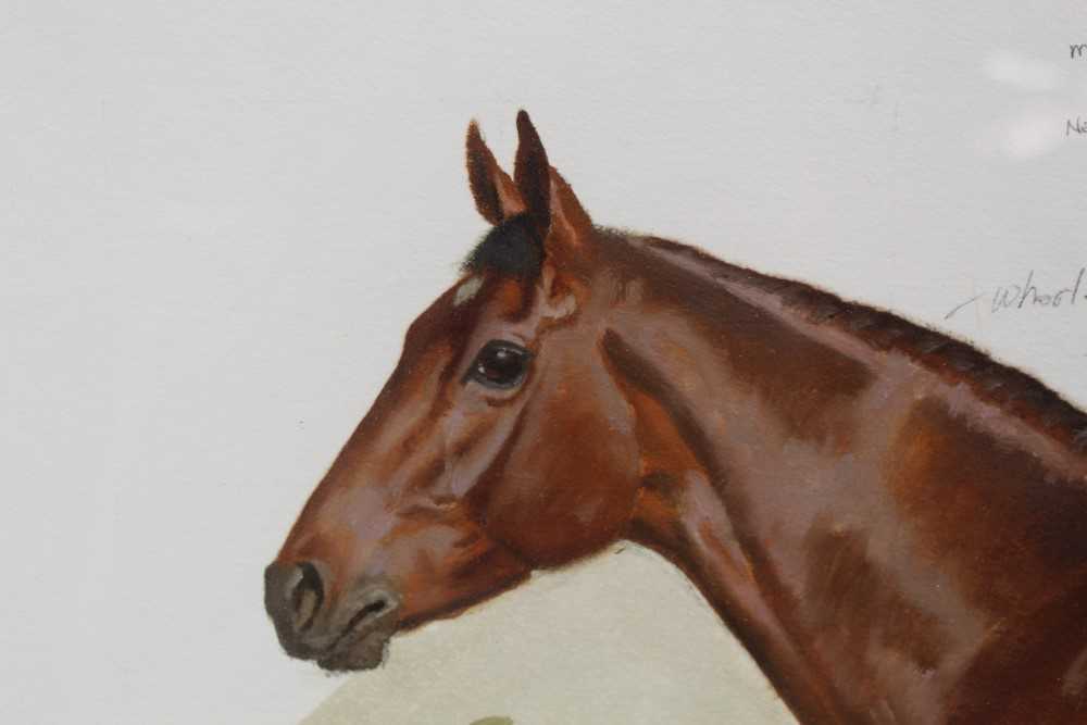 Richard Jeffrey, 20th century, gouache - a bay racehorse, 'Gilded', trained by Richard Hannon, signe - Image 8 of 9