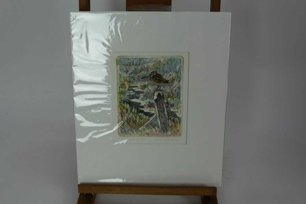 Peter Partington, contemporary, collection of nine unframed works including bird studies, snow cover - Image 3 of 10