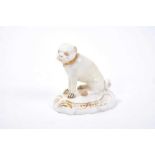 A Derby model of a seated pug, picked out in gilt, circa 1820-30