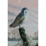 Mark Chester - Winter Watch - barn owl, watercolour/gouache