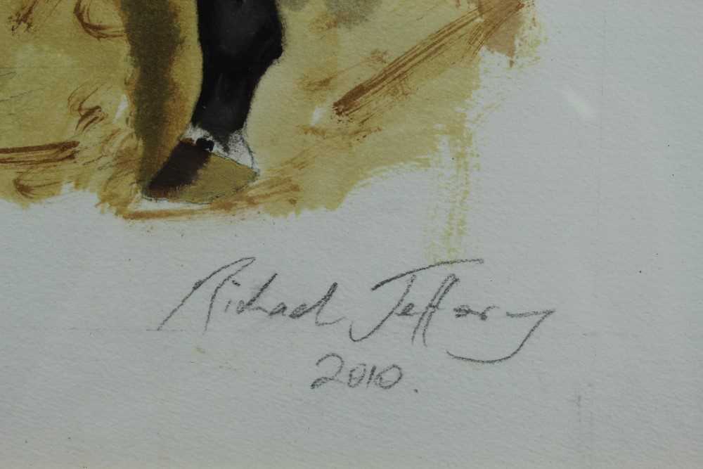 Richard Jeffrey, 20th century, gouache - a bay racehorse, 'Gilded', trained by Richard Hannon, signe - Image 3 of 9