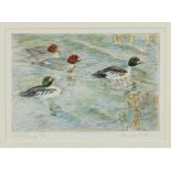 Peter Partington , contemporary, Signed limited edition etching - Goldeneye Ducks, 38/100, in glazed