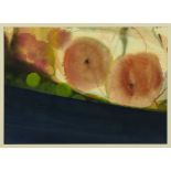 Barrie Houghton watercolour - still life Store Fruit, signed verso, in gilt frame Provenance: The