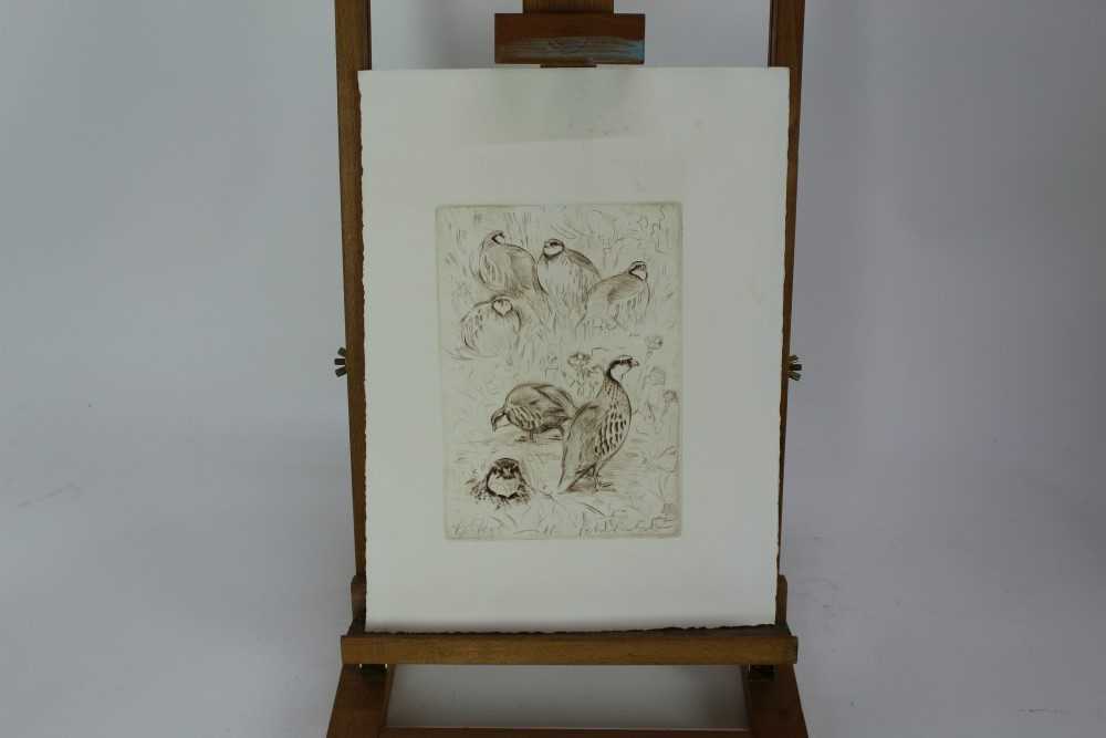 Peter Partington, contemporary, collection of nine unframed works including bird studies, snow cover - Image 5 of 10