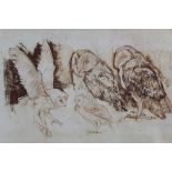 Ian Hay signed limited edition etching - Barn Owls, in glazed frame