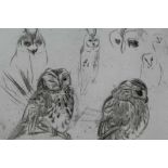 Peter Partington, contemporary, collection of eight unframed works including bird studies and marshl