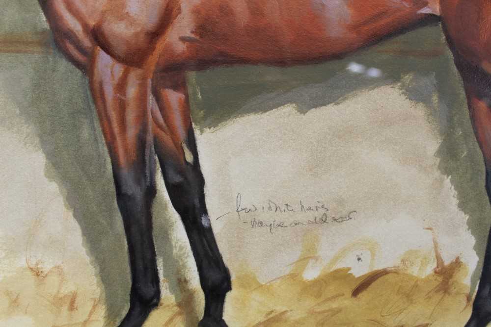 Richard Jeffrey, 20th century, gouache - a bay racehorse, 'Gilded', trained by Richard Hannon, signe - Image 7 of 9
