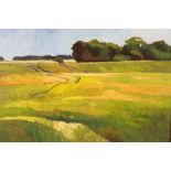 David Britton , contemporary, oil on board - Barley Field Near Saxmundham, signed, framed 60cm x 69c