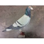 Folk Art pigeon dummy board signed W. Riley