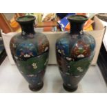 Pair Cloisonne vases