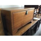 Camphor wood trunk