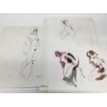 Folder of female nudes - themed as 'Chelsea Birds' (approx 57) together with folder of female nudes