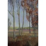 David Britton , contemporary, oil on canvas - Willow Grove, Wiston (Essex), signed, framed 90cm x 75